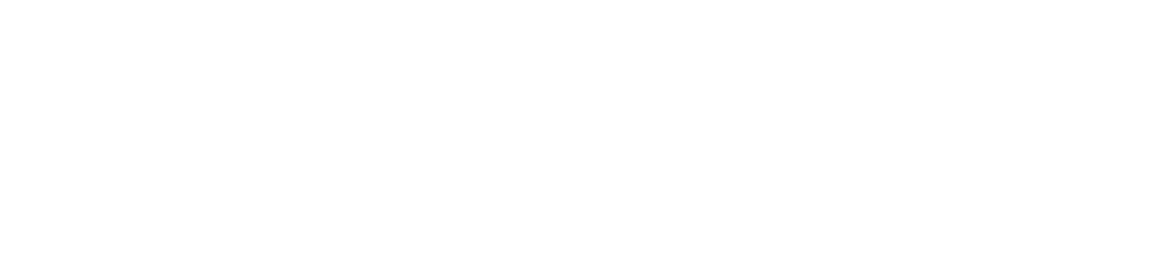 Tech Village